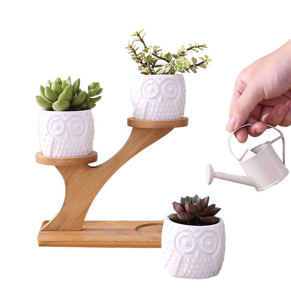 Tiered Ceramic Owl Succulent Planters with Bamboo Shelf